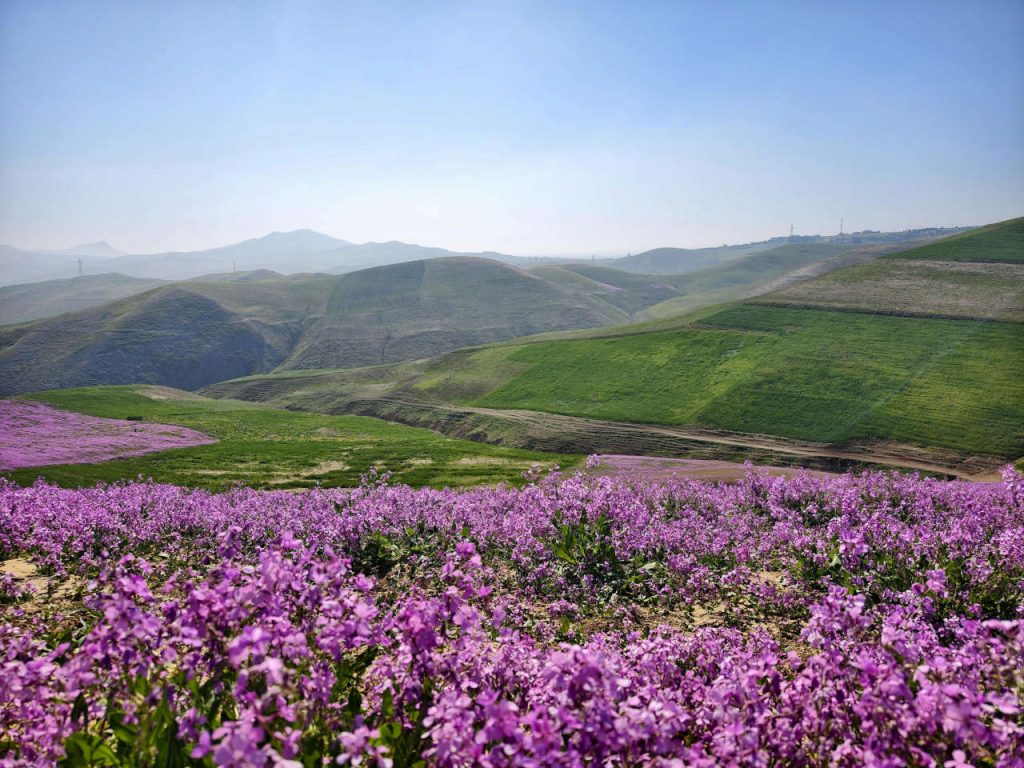 morocco spring