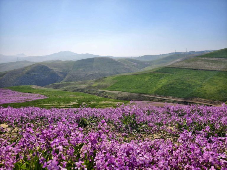 morocco spring